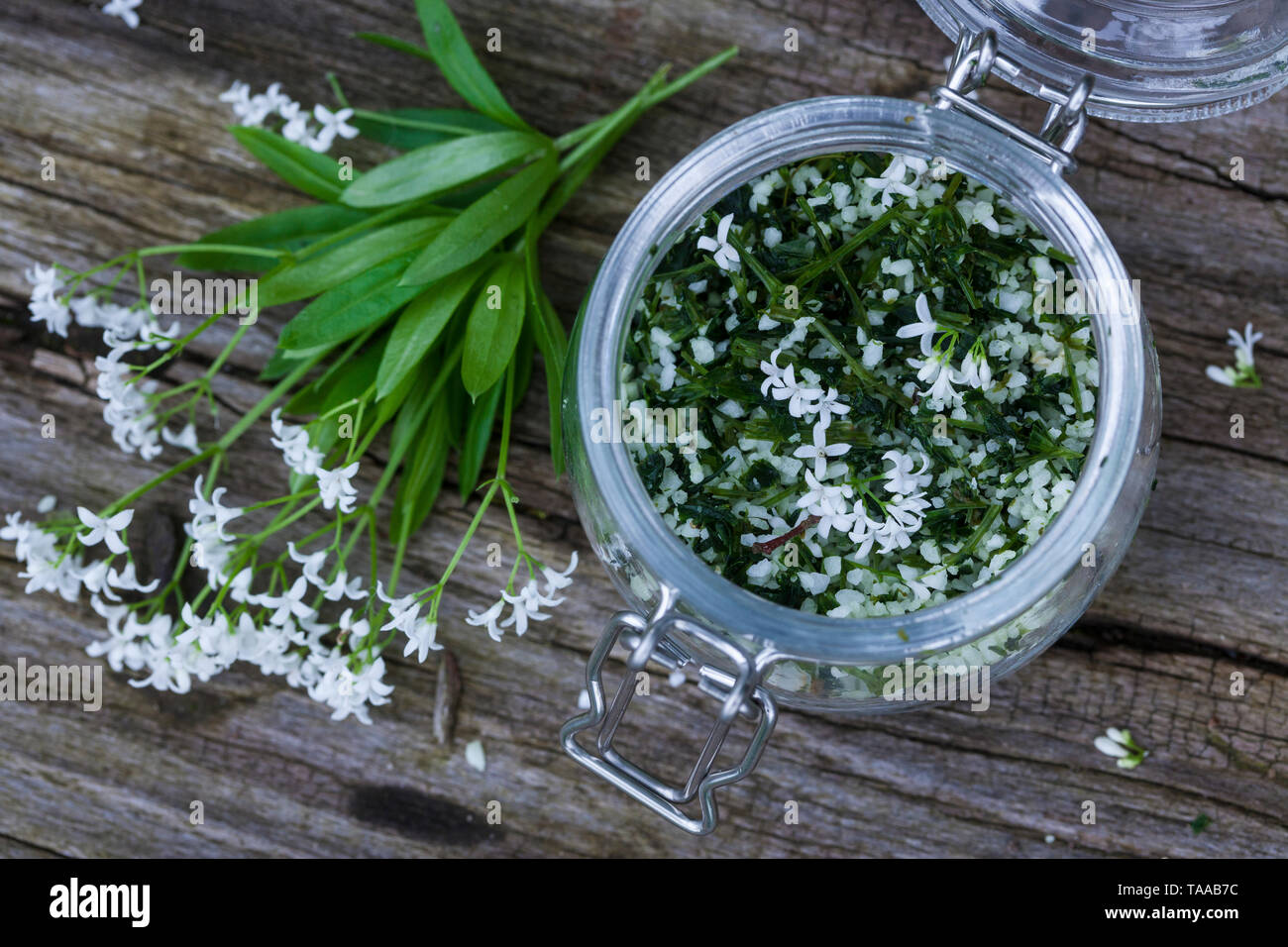 Waldmeister-Salz, Waldmeistersalz, Salz aus Waldmeister, Kräutersalz, Kräuter-Salz, Gewürzsalz, Waldmeister, Wald-Meister, Wohlriechendes Labkraut, Ga Stock Photo