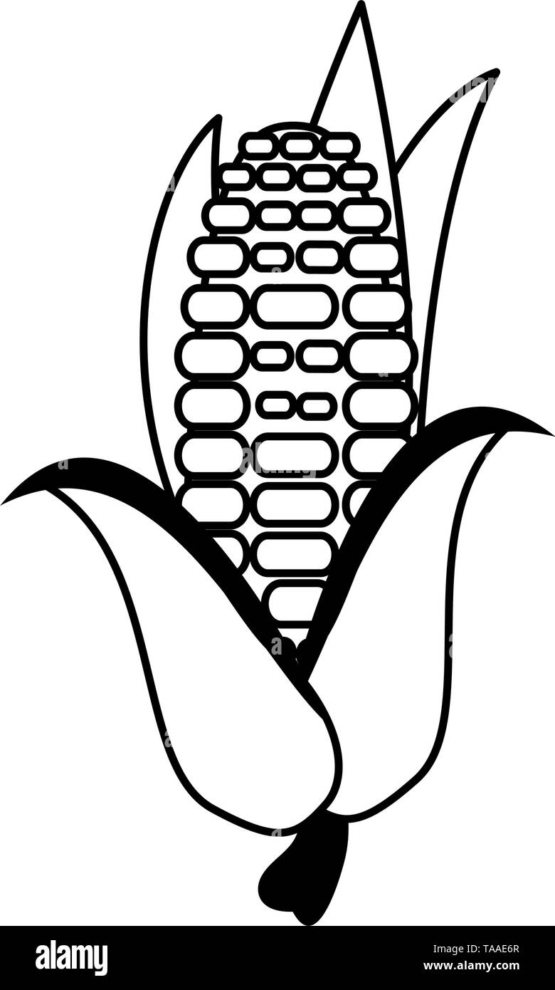 Popcorn Cartoon Png 880x1360px Popcorn Baking Cup Black And White Blog Cinema Download Free