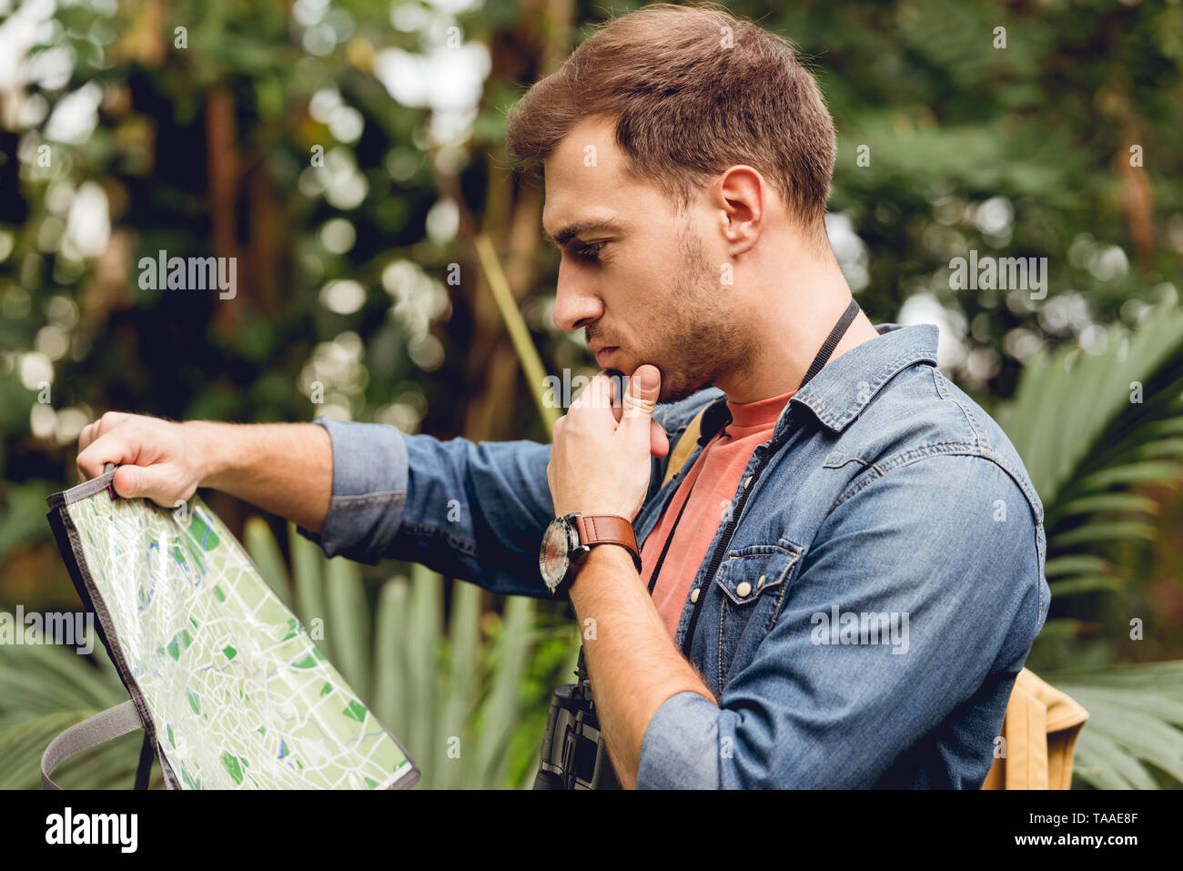 pensive traveler holding map in - Pensive Traveler Holding Map In Green Tropical Forest TAAE8F 