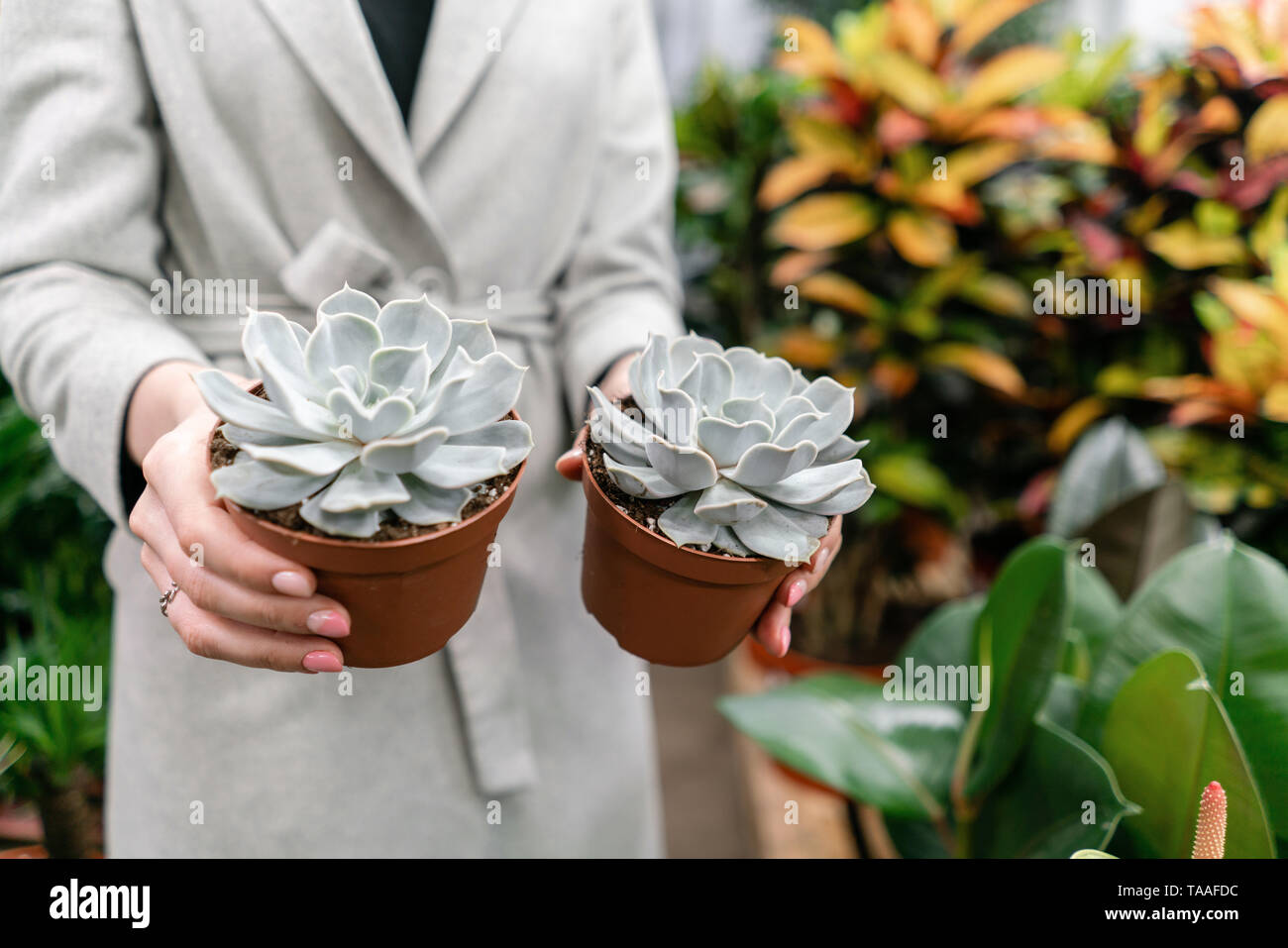 Woman Buying Plants High Resolution Stock Photography And Images Alamy