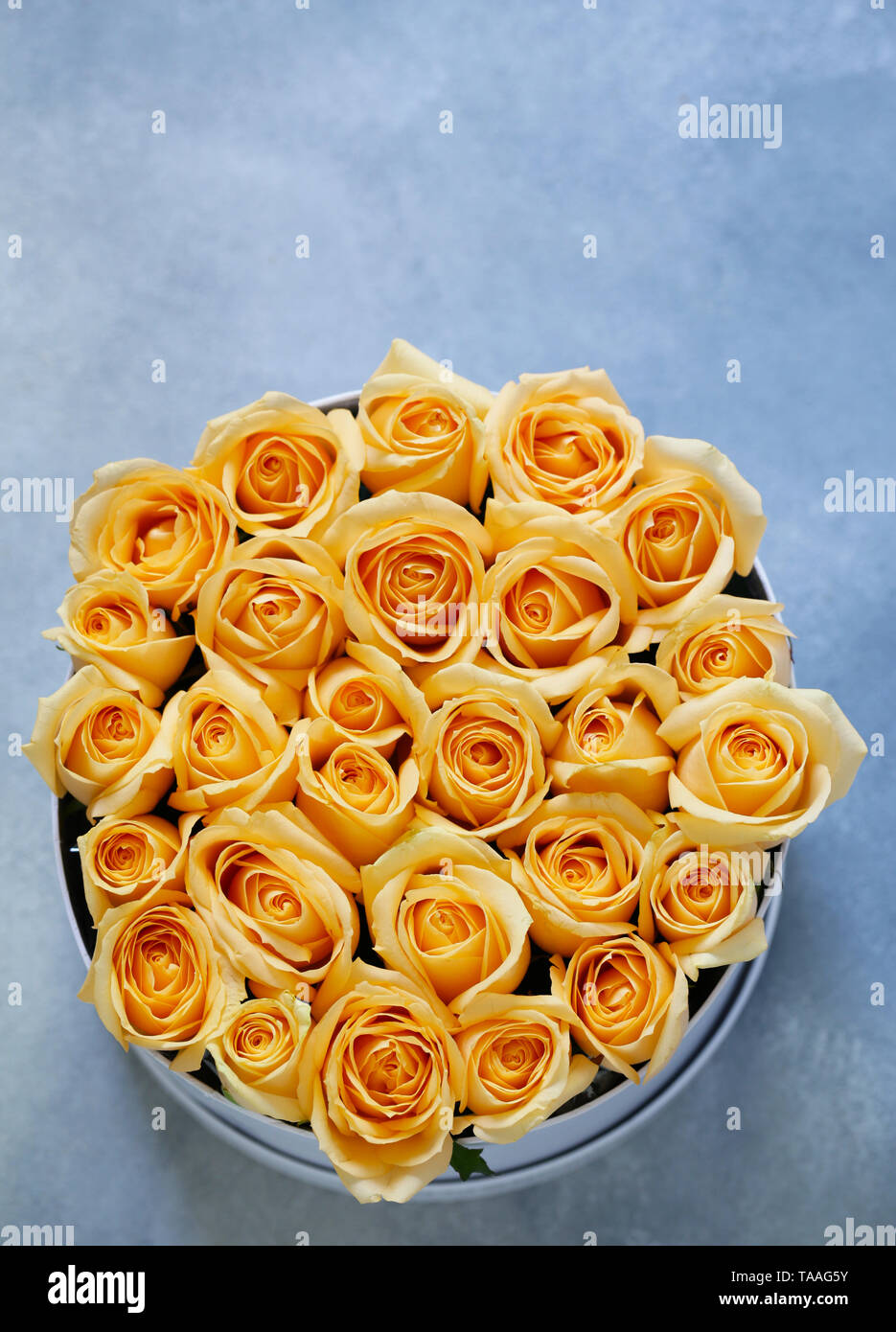 Congratulations Roses Classy beautiful orange roses for congratulations and gift Stock Photo - Alamy