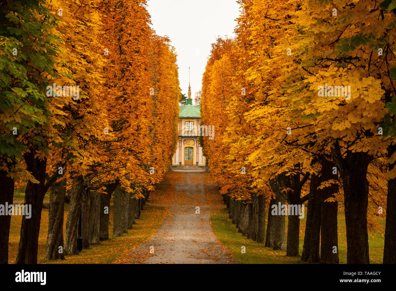 Chinese pavilion at Drottningholm, Stockholm though the alley of trees in autumn Stock Photo