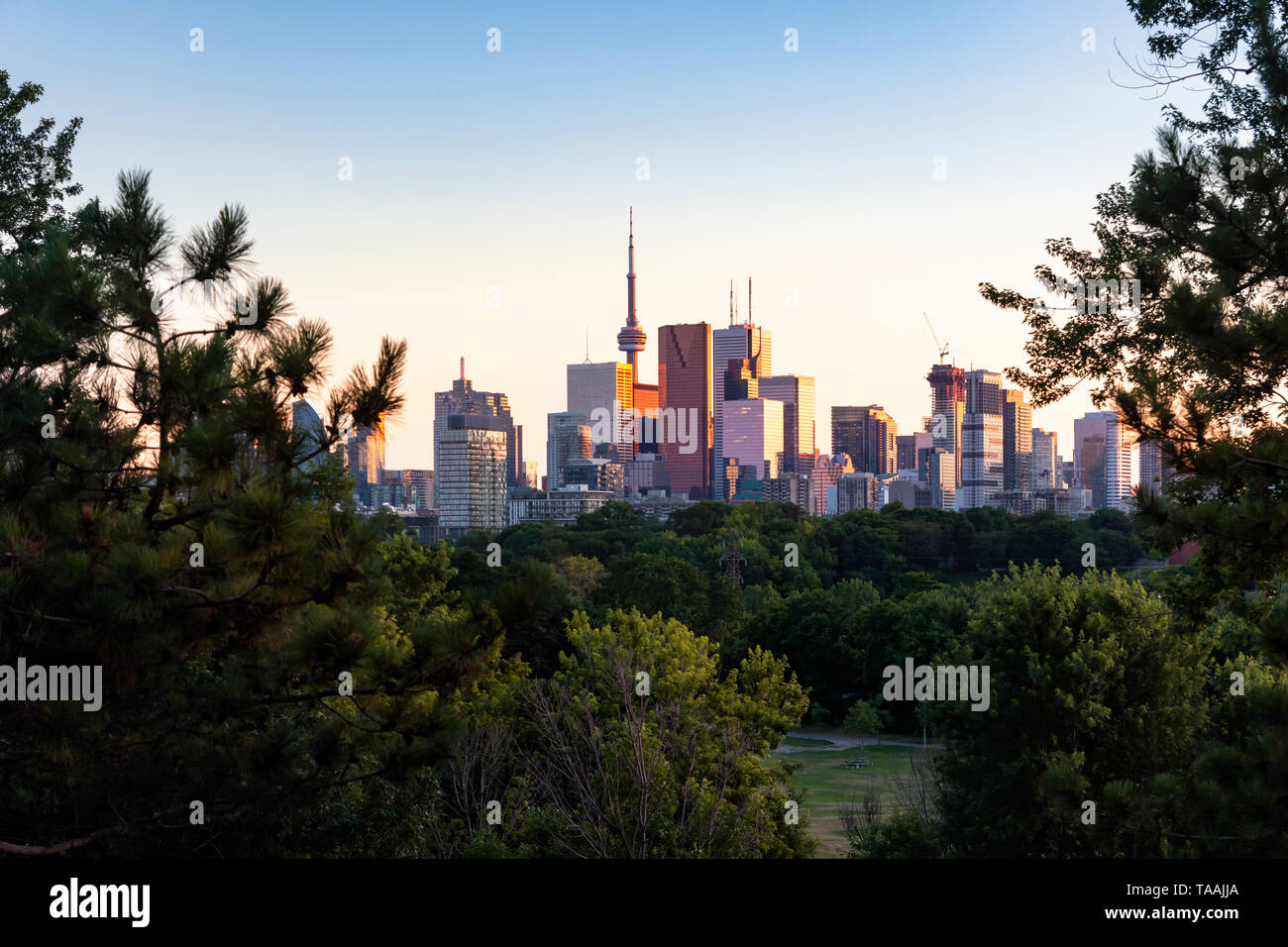 Toronto city center skyline during evening golden hour sunset seen from Riverdale Park East