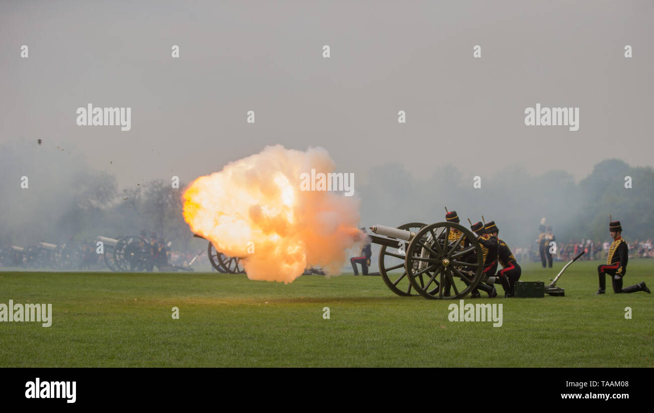 The King's Troop Royal Horse Artillery with 71 horses pulling six First ...