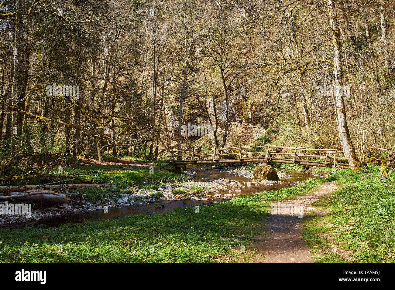 hiking in the river gauchach canyon in the black forest in germany Stock Photo