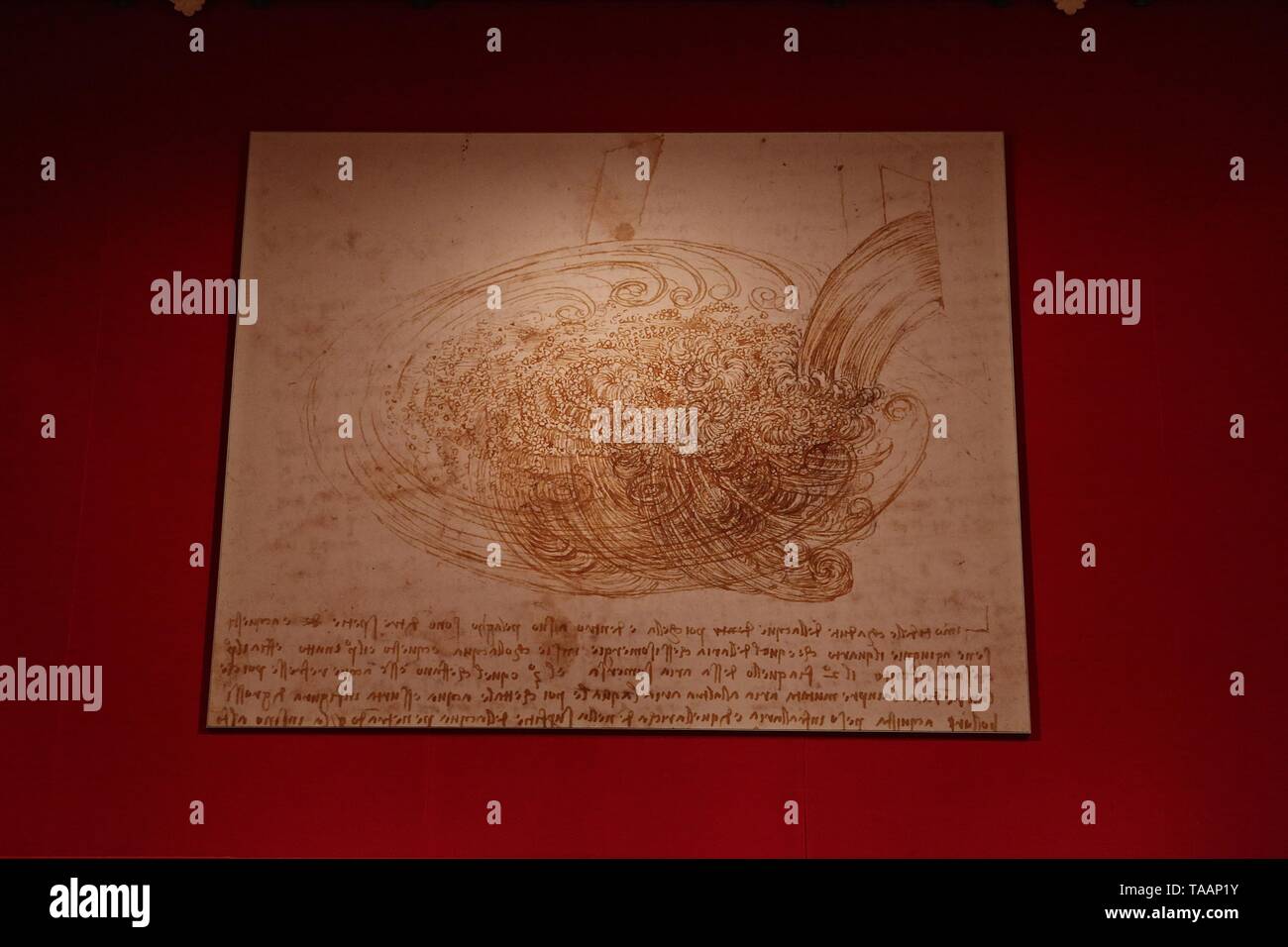 LEONARDO DA VINCI A LIFE IN DRAWING THE QUEENS GALLERY BUCKINGHAM