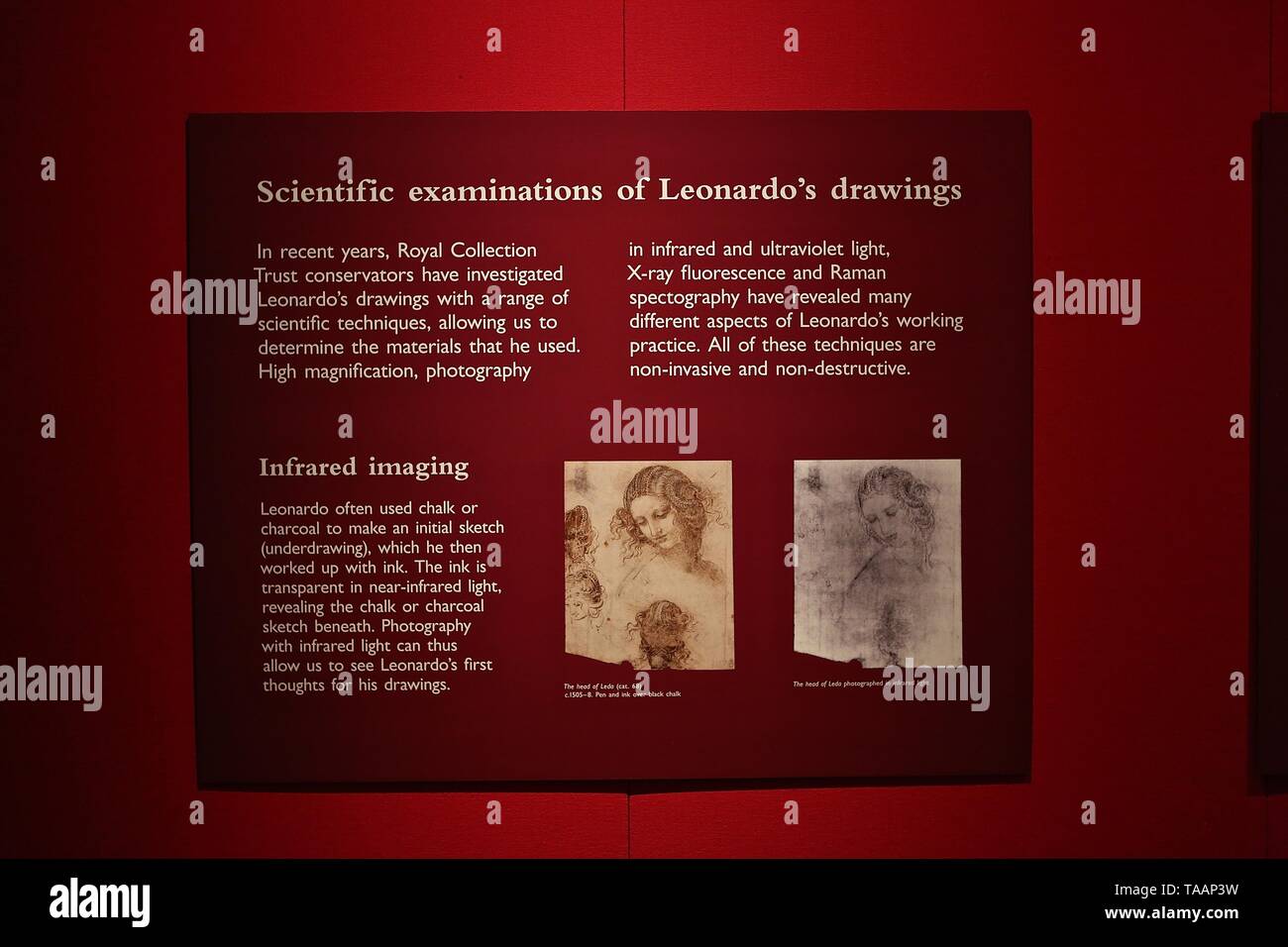 LEONARDO DA VINCI A LIFE IN DRAWING THE QUEENS GALLERY BUCKINGHAM