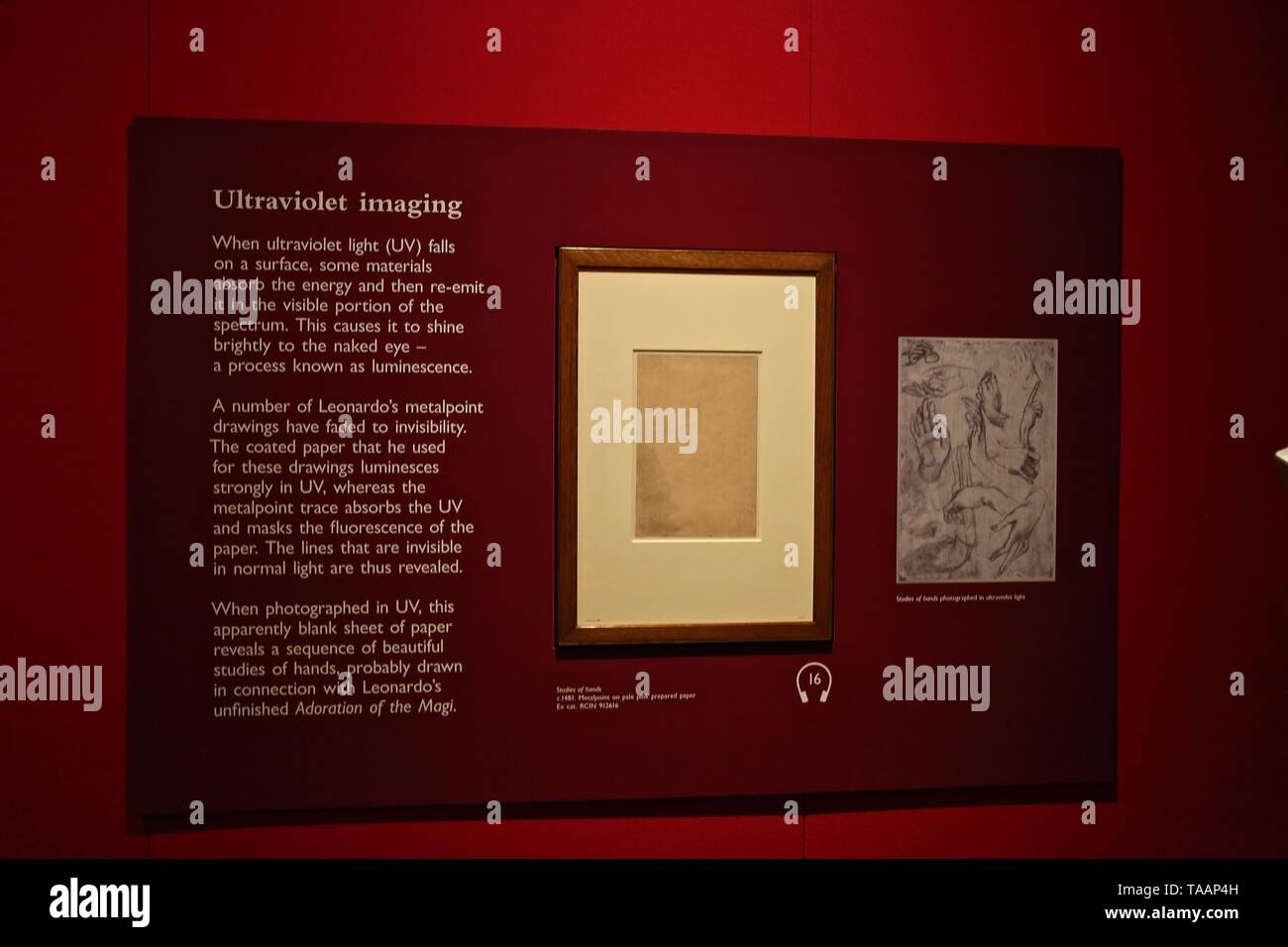 LEONARDO DA VINCI A LIFE IN DRAWING THE QUEENS GALLERY BUCKINGHAM