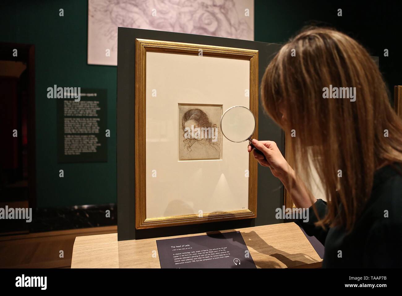 LEONARDO DA VINCI A LIFE IN DRAWING THE QUEENS GALLERY BUCKINGHAM