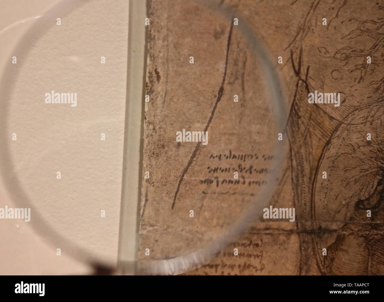 LEONARDO DA VINCI A LIFE IN DRAWING THE QUEENS GALLERY BUCKINGHAM