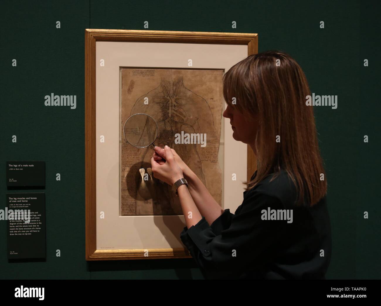 LEONARDO DA VINCI A LIFE IN DRAWING THE QUEENS GALLERY BUCKINGHAM