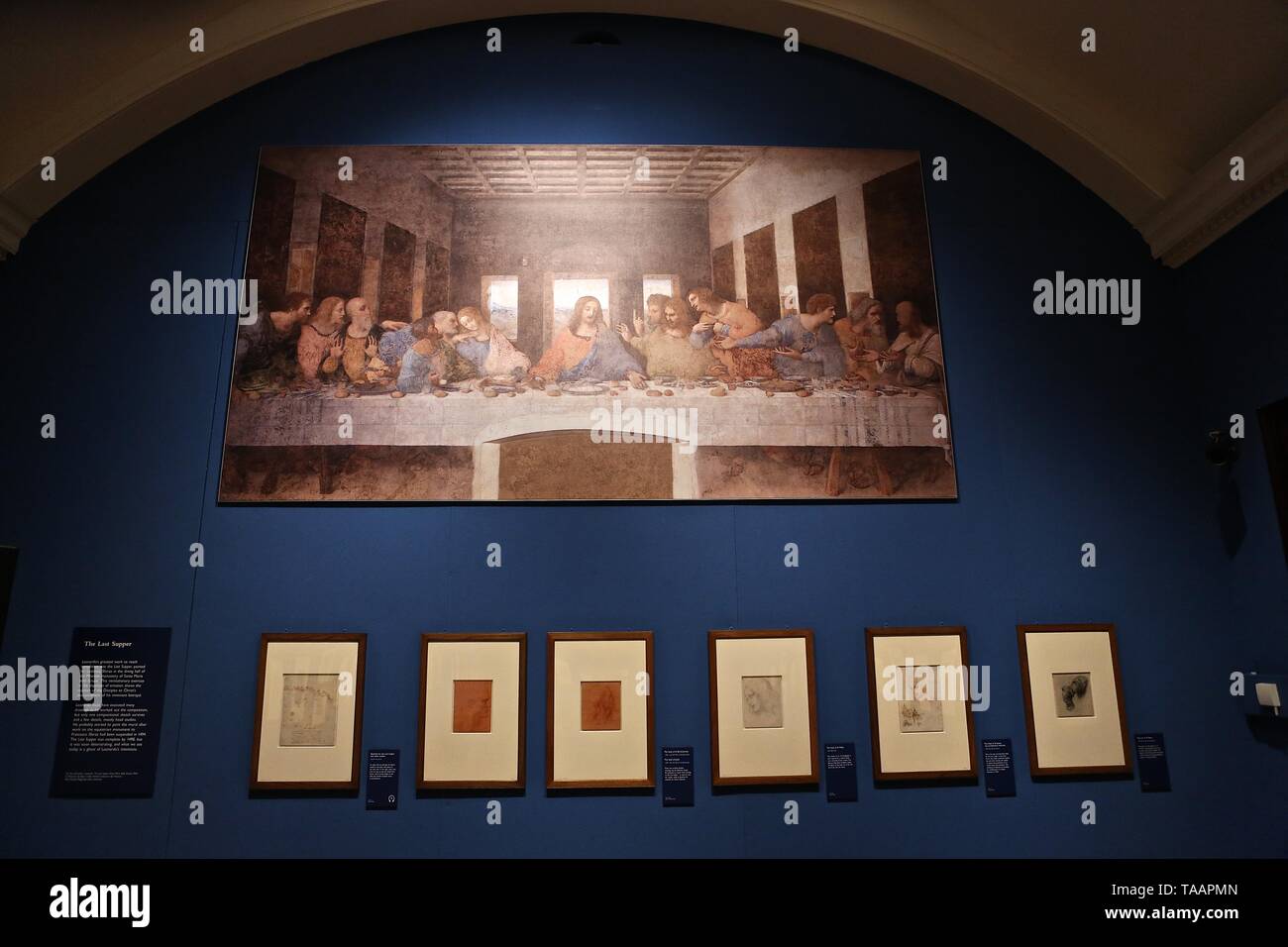 LEONARDO DA VINCI A LIFE IN DRAWING THE QUEENS GALLERY BUCKINGHAM