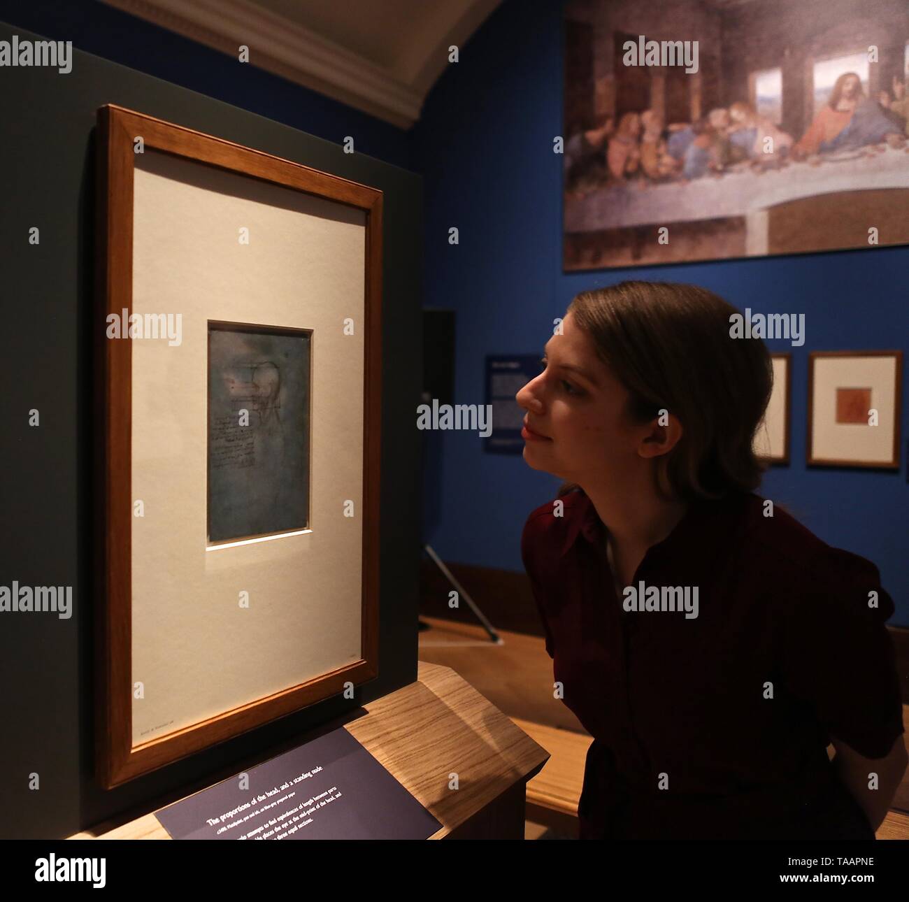 LEONARDO DA VINCI A LIFE IN DRAWING THE QUEENS GALLERY BUCKINGHAM