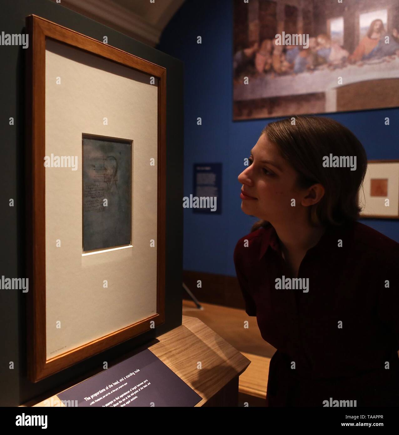 LEONARDO DA VINCI A LIFE IN DRAWING THE QUEENS GALLERY BUCKINGHAM