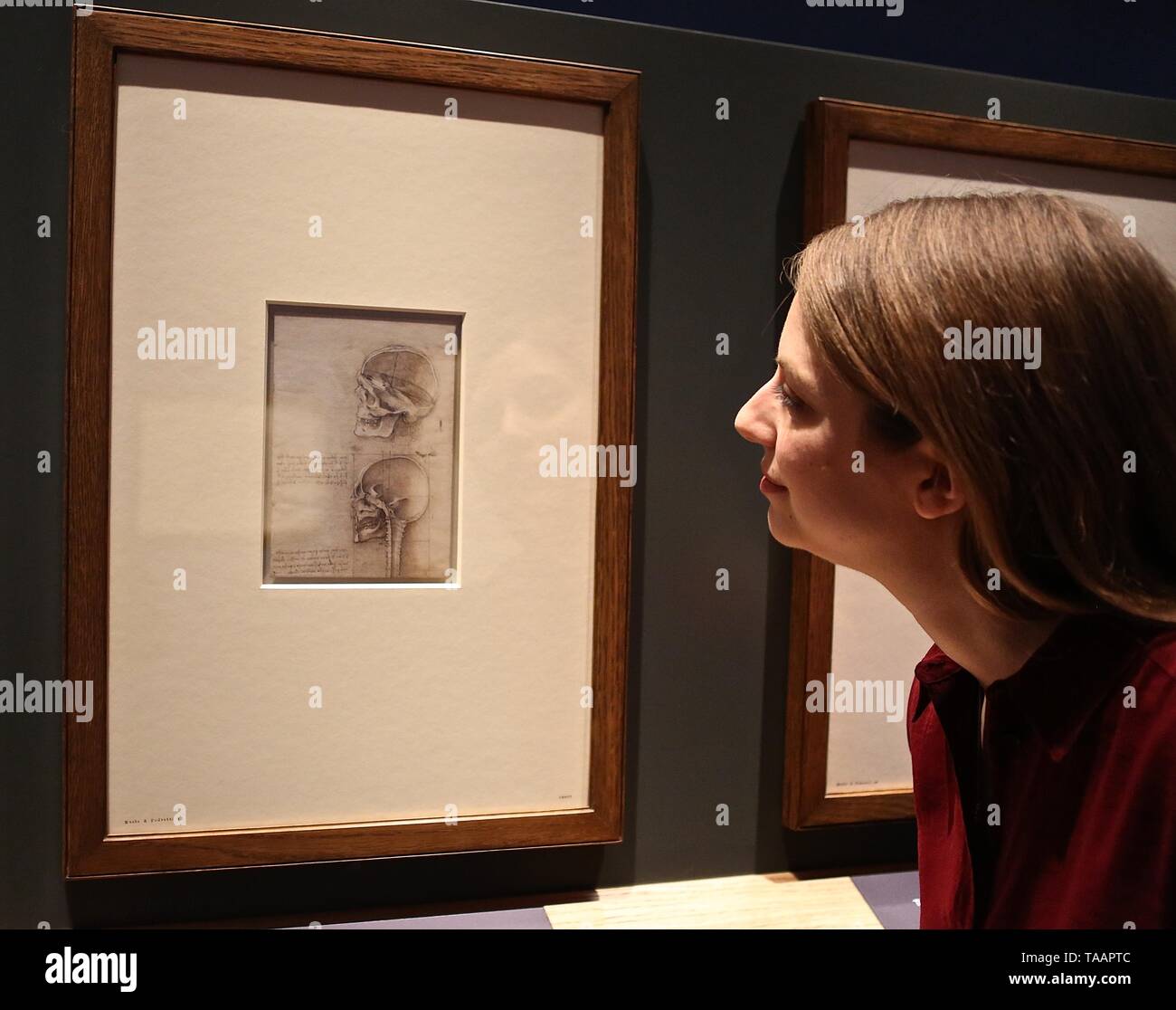 LEONARDO DA VINCI A LIFE IN DRAWING THE QUEENS GALLERY BUCKINGHAM