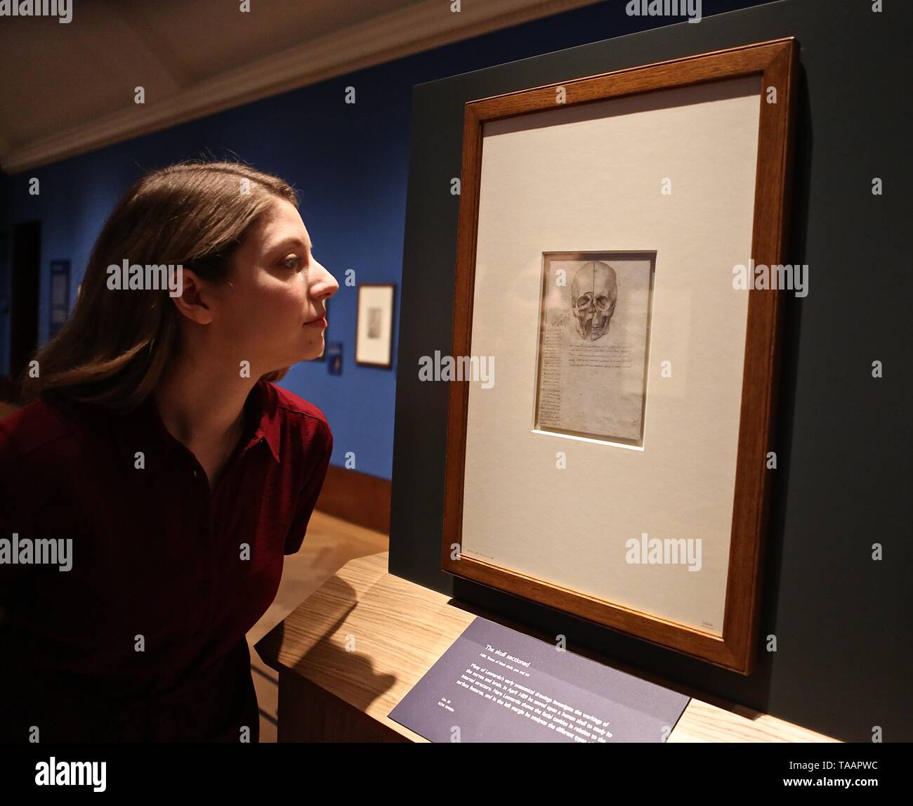 LEONARDO DA VINCI A LIFE IN DRAWING THE QUEENS GALLERY BUCKINGHAM