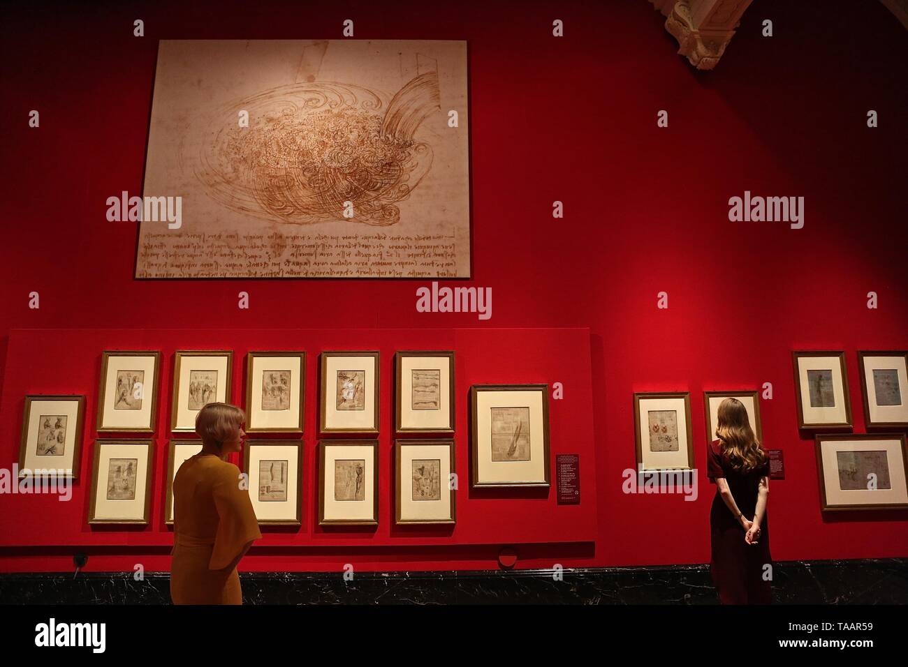 LEONARDO DA VINCI A LIFE IN DRAWING THE QUEENS GALLERY BUCKINGHAM