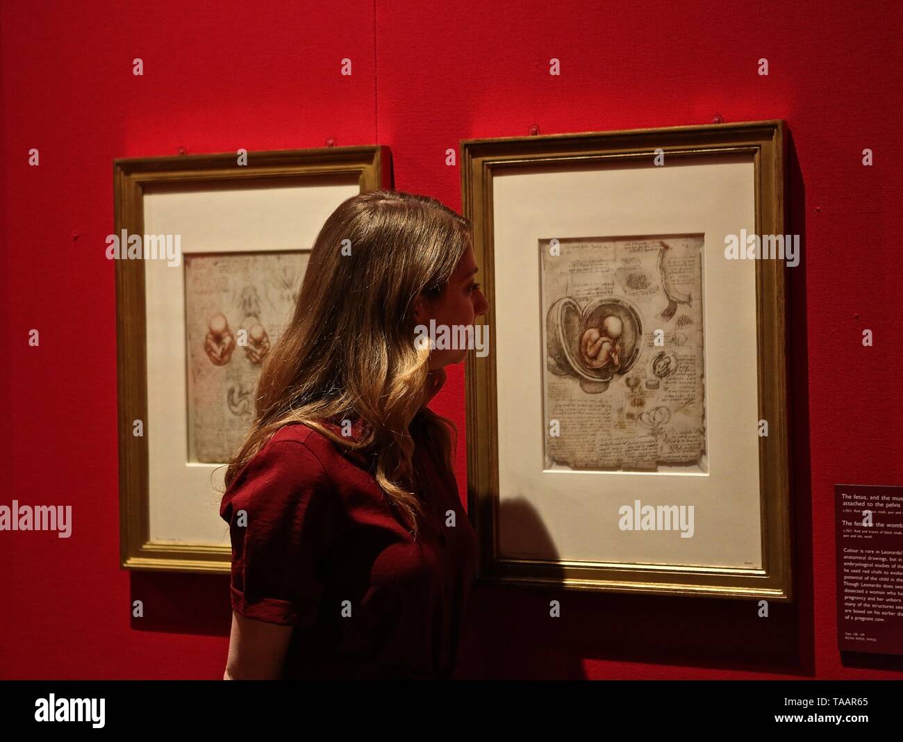 LEONARDO DA VINCI A LIFE IN DRAWING THE QUEENS GALLERY BUCKINGHAM