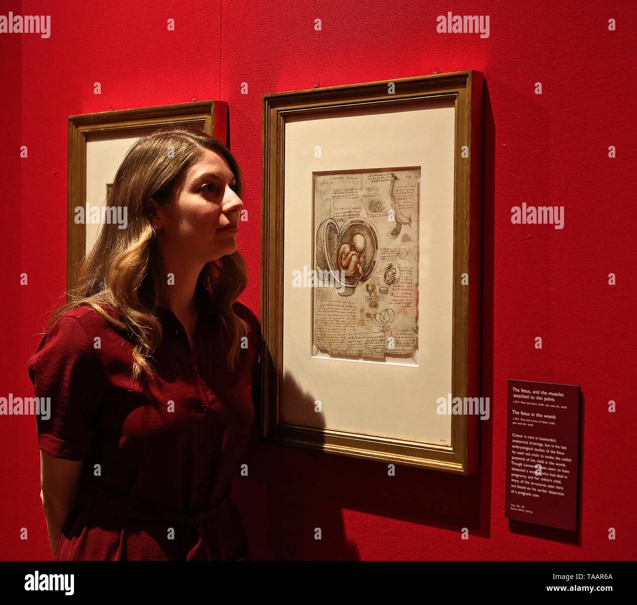 LEONARDO DA VINCI A LIFE IN DRAWING THE QUEENS GALLERY BUCKINGHAM