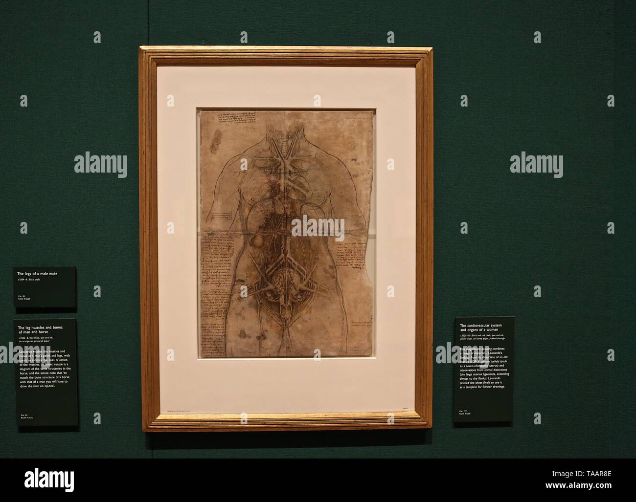 LEONARDO DA VINCI A LIFE IN DRAWING THE QUEENS GALLERY BUCKINGHAM