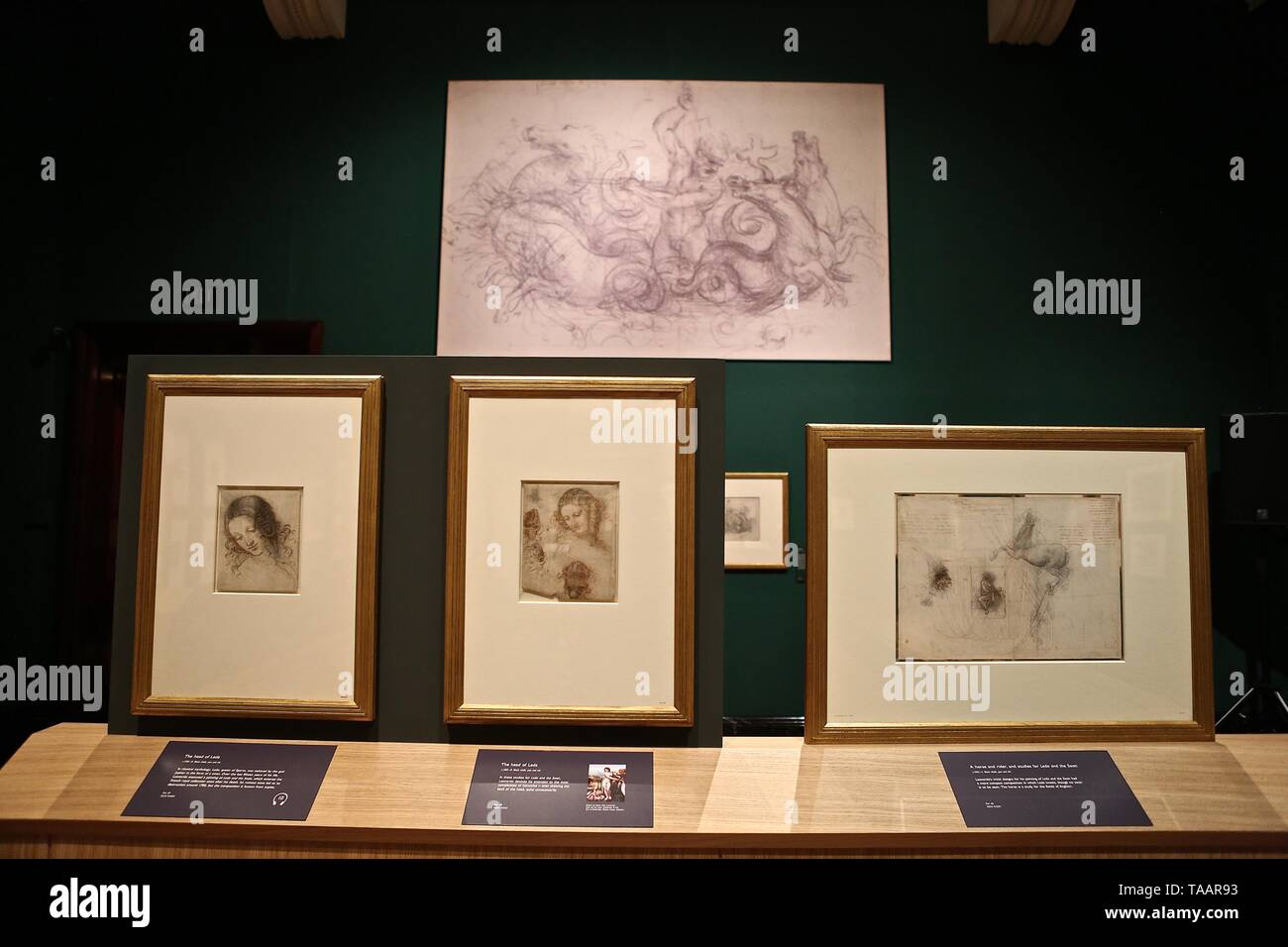 LEONARDO DA VINCI A LIFE IN DRAWING THE QUEENS GALLERY BUCKINGHAM