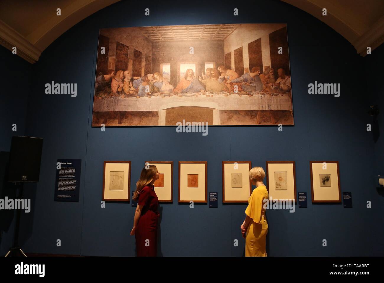 LEONARDO DA VINCI A LIFE IN DRAWING THE QUEENS GALLERY BUCKINGHAM