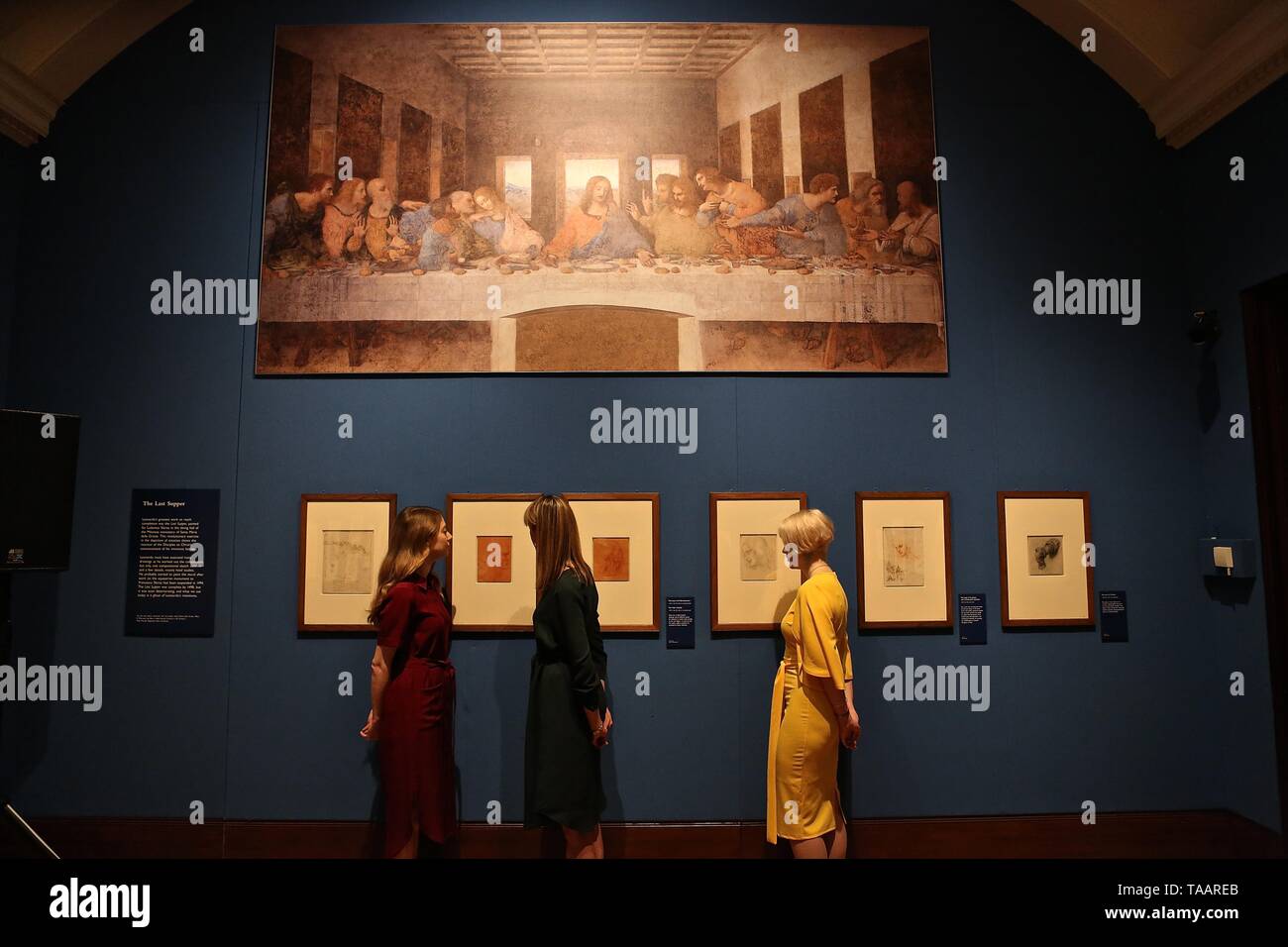 LEONARDO DA VINCI A LIFE IN DRAWING THE QUEENS GALLERY BUCKINGHAM