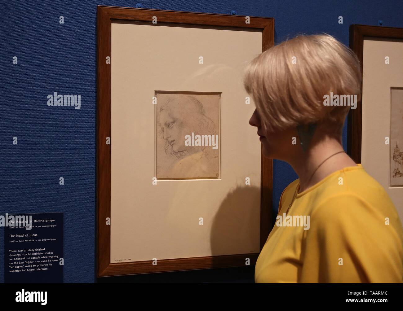 LEONARDO DA VINCI A LIFE IN DRAWING THE QUEENS GALLERY BUCKINGHAM