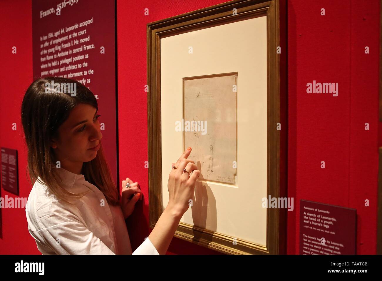 LEONARDO DA VINCI A LIFE IN DRAWING THE QUEENS GALLERY BUCKINGHAM