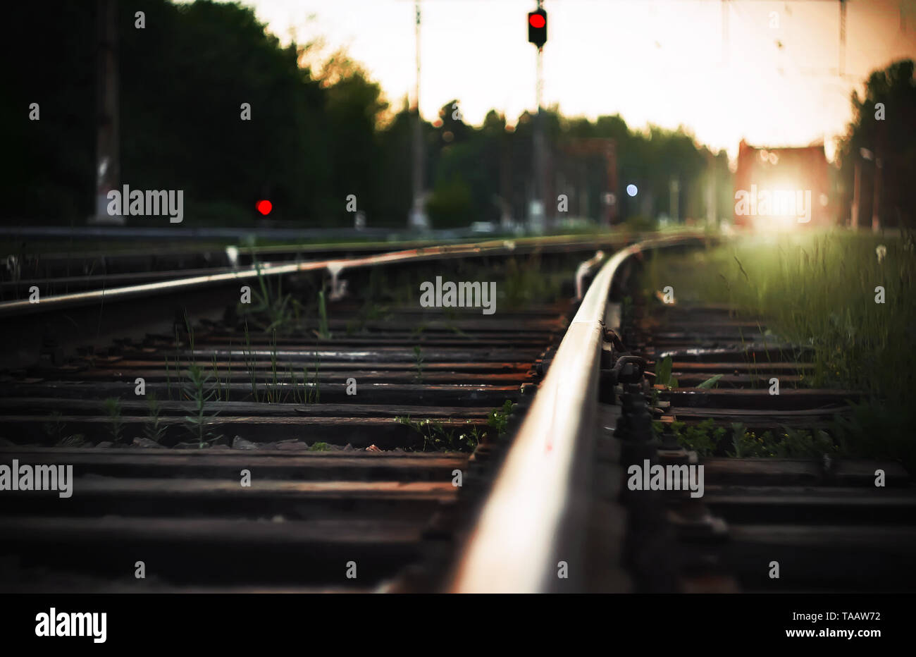 Bright light from the headlights of the approaching train, which rides on rails with wooden sleepers in the countryside. Next to the railway tracks ar Stock Photo