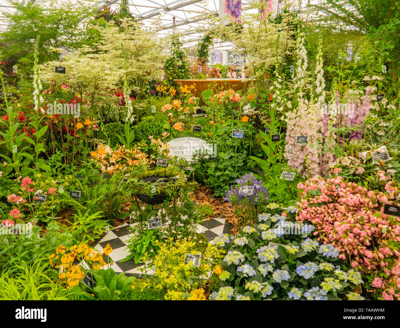 Chelsea flower show gardens hi-res stock photography and images - Alamy
