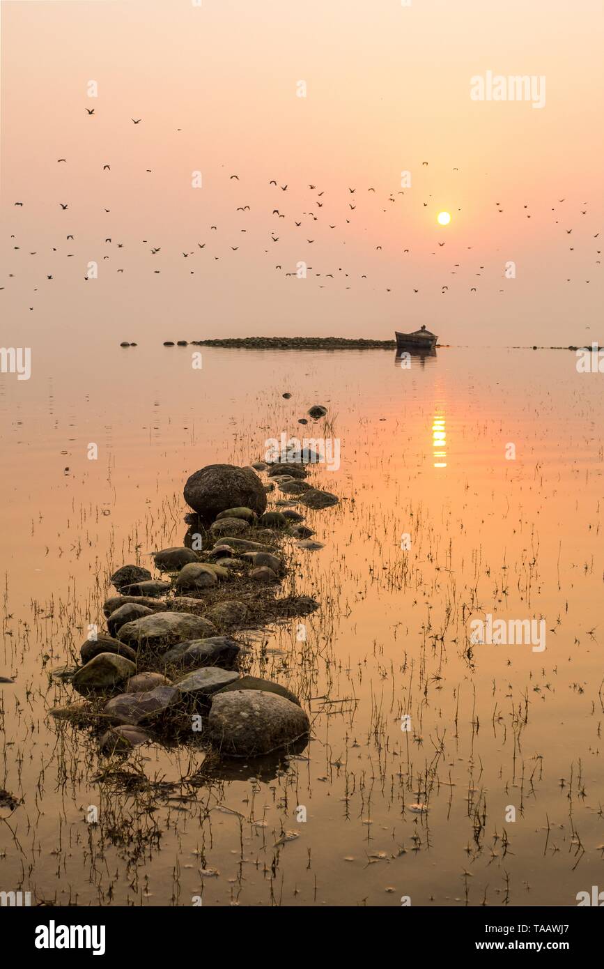 A beautiful and serene sundowner scene from the shore of the amazing Pong Lake, Himachal Pradesh, India with the birds flying across it. Stock Photo