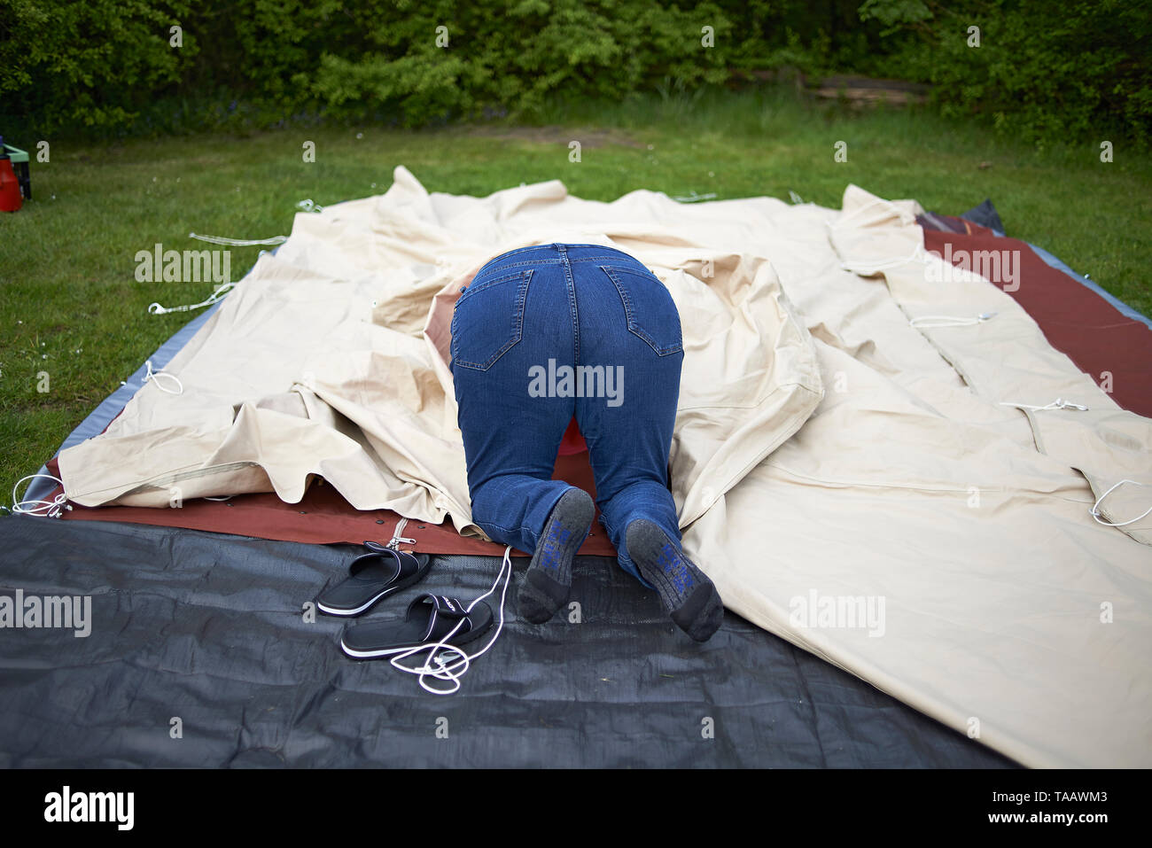 Funny image of a woman with her head inside a tent and her behind sticking out as she attempts to set up the tent outside on a camping ground Stock Photo