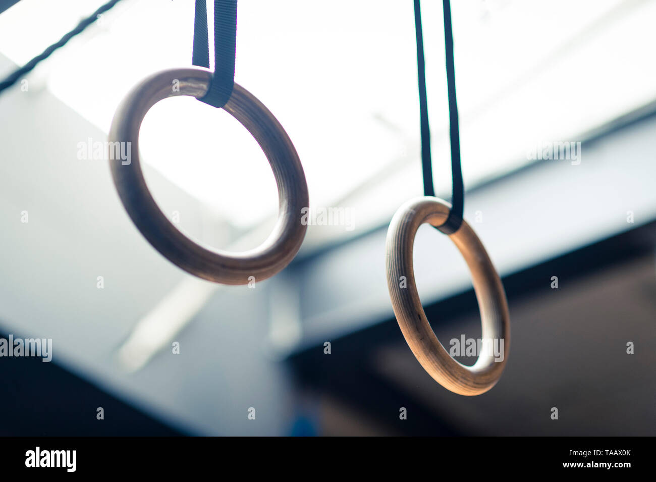 Muscle rings hires stock photography and images Alamy