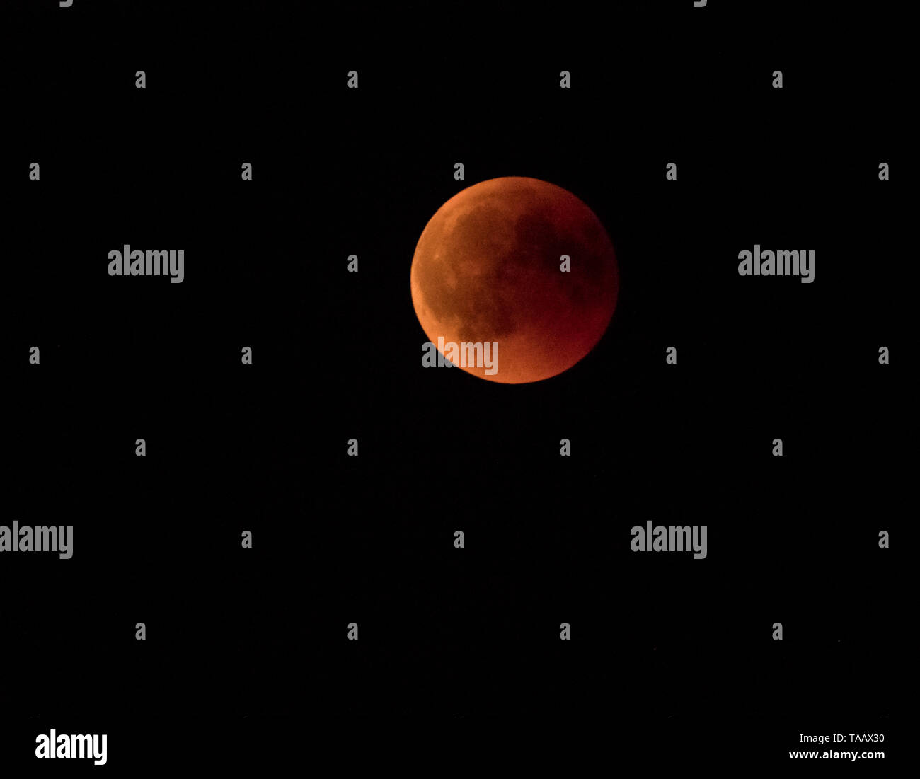 The "Blood Moon" of a total lunar eclipse Stock Photo - Alamy