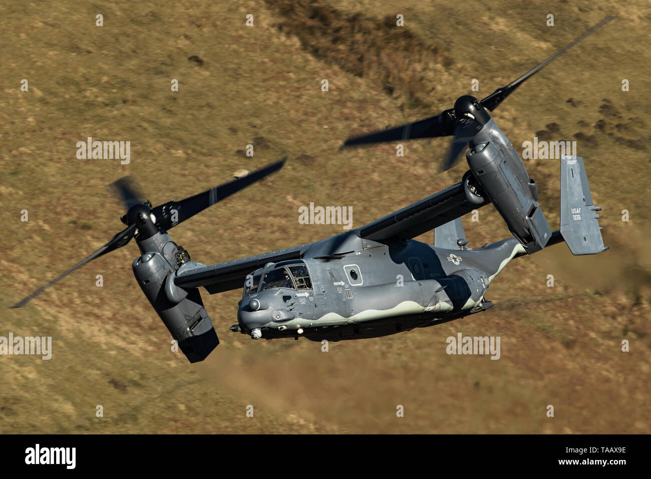 A Bell Boeing V-22 Osprey Flying through the Mach Loop In Wales, UK Stock Photo