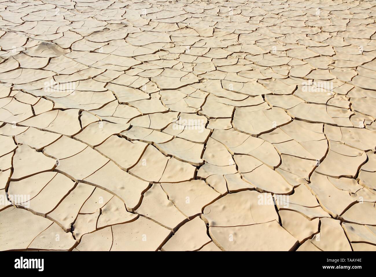 Mojave Desert background dried cracked mud in Death Valley National