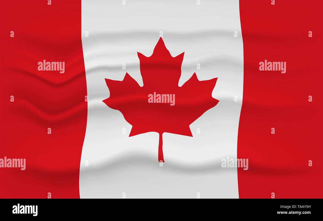 Flag Of Canada Canadian Waving Flag Vector Illustration Stock Vector Image And Art Alamy