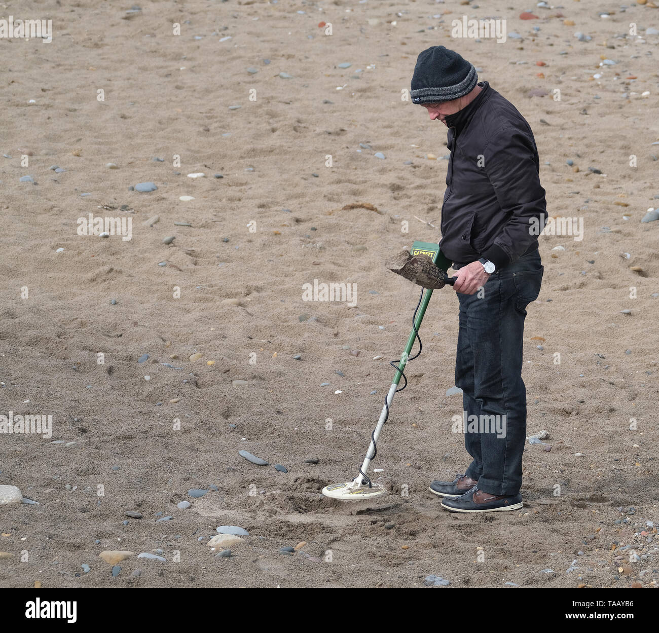 Man with metal detector on public seaside beach Stock Photo - Alamy