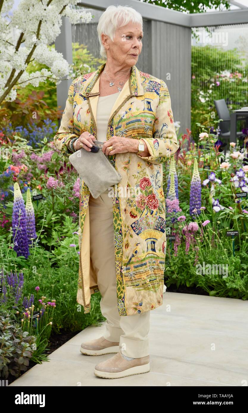 Dame Judi Dench was presented with a sapling elm tree to launch the re-elming of the British Countryside starting this year. Hillier Nurseries, RHS Chelsea Flower Show, Royal Hospital, London. UK Stock Photo