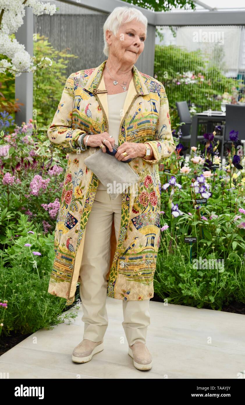 Dame Judi Dench was presented with a sapling elm tree to launch the re-elming of the British Countryside starting this year. Hillier Nurseries, RHS Chelsea Flower Show, London Stock Photo