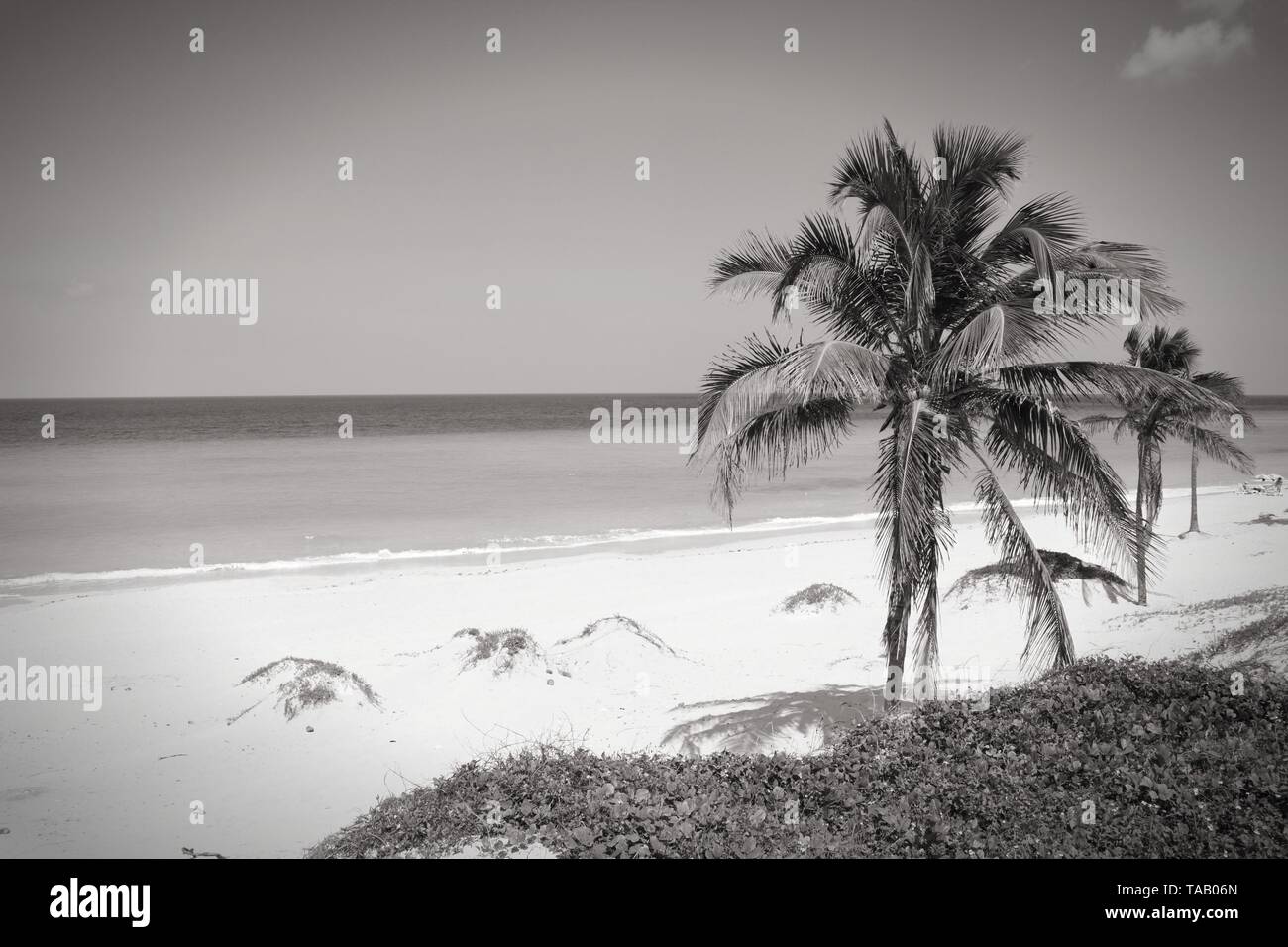 Cuba - Caribbean Beach Playa Megano In Playas Del Este Part Of Havana 