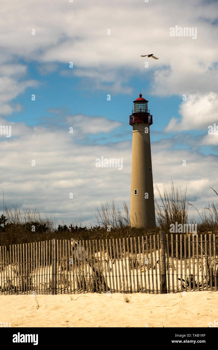 Bird flies over Cape May lighthouse. Cape May, NJ. Stock Photo