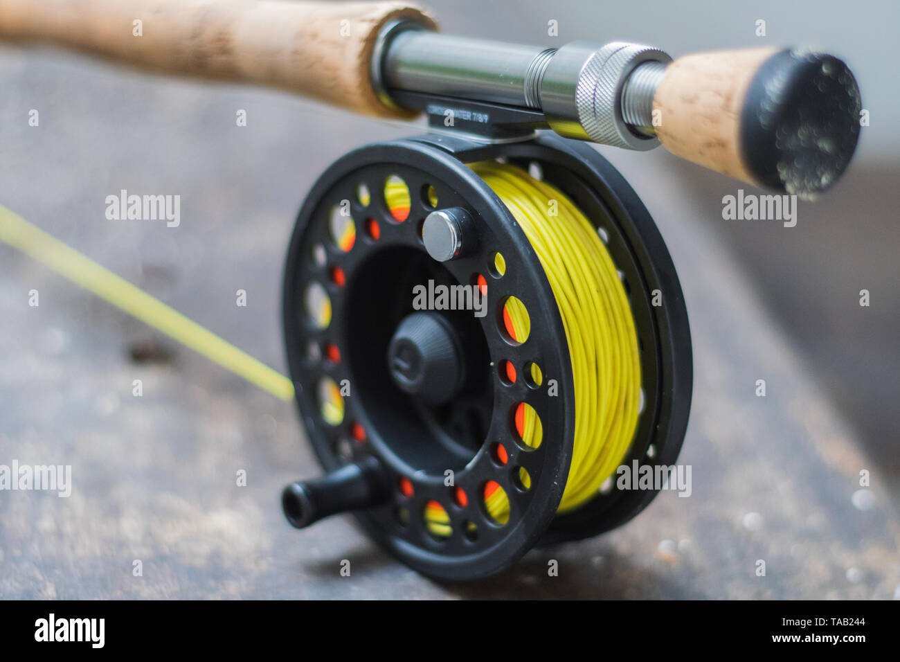 https://c8.alamy.com/comp/TAB244/saltwater-fly-fishing-fly-rod-and-reel-TAB244.jpg