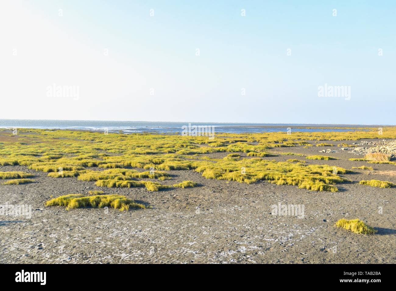 Gaomei Wetlands in Taichung, Taiwan Stock Photo