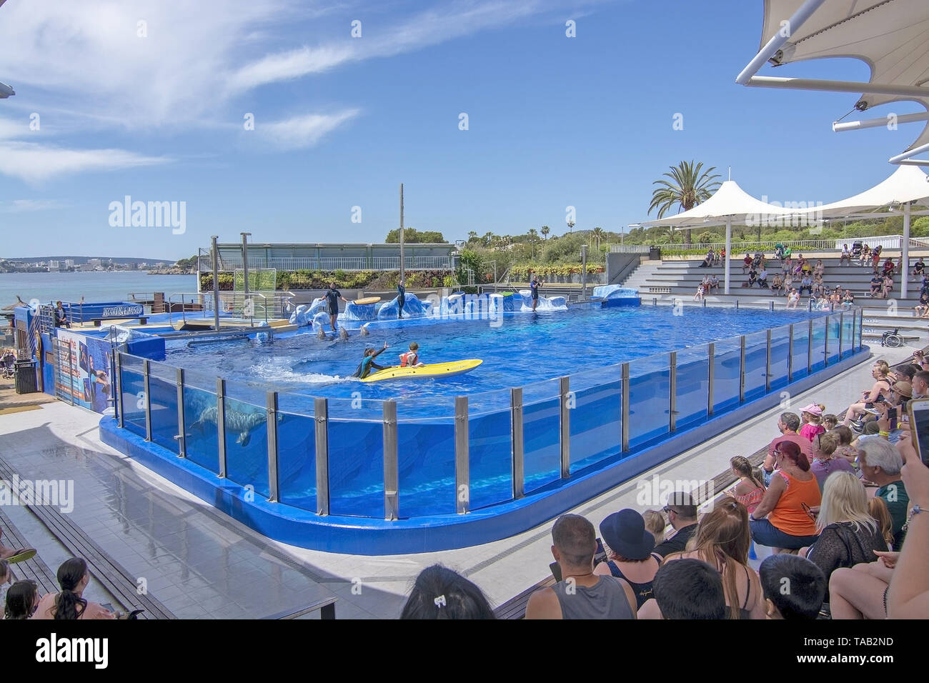 PALMA, MALLORCA, SPAIN - MAY 22, 2019: Dolphin show Marineland on May 22, 2019 in Palma, Mallorca, Spain. Stock Photo