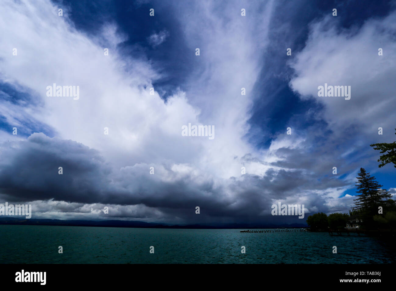 Wide angle shot trees hi-res stock photography and images - Alamy