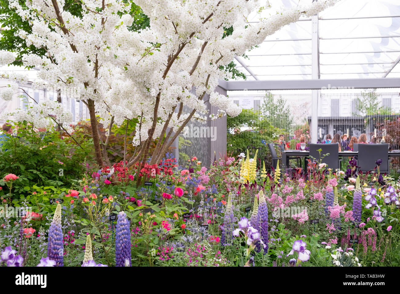 visitors at the rhs chelsea flower show 2019 around the hillier