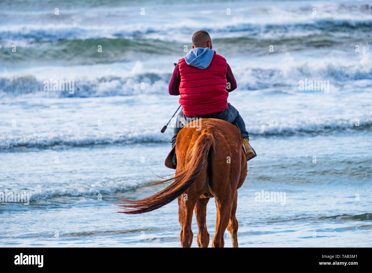 Man riding on a brown galloping horse in the sea waters of Ayia Erini beach in Cyprus against a rough sea Stock Photo