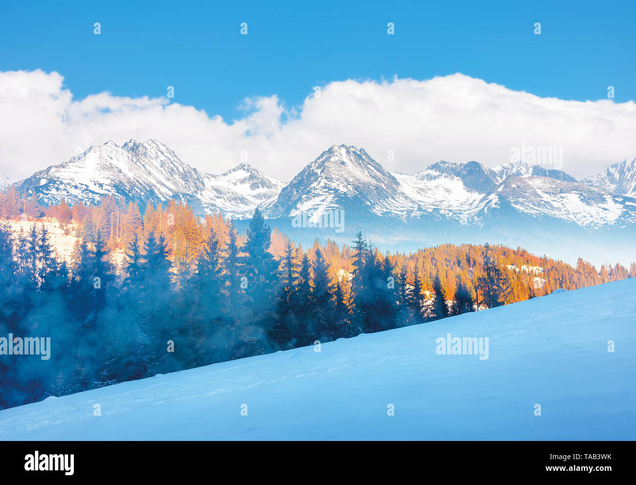 winter scenery in mountains. spruce trees on a snowy hill in evening light. snow capped ridge in the distance. hazy weather and cloudy sky. composite  Stock Photo
